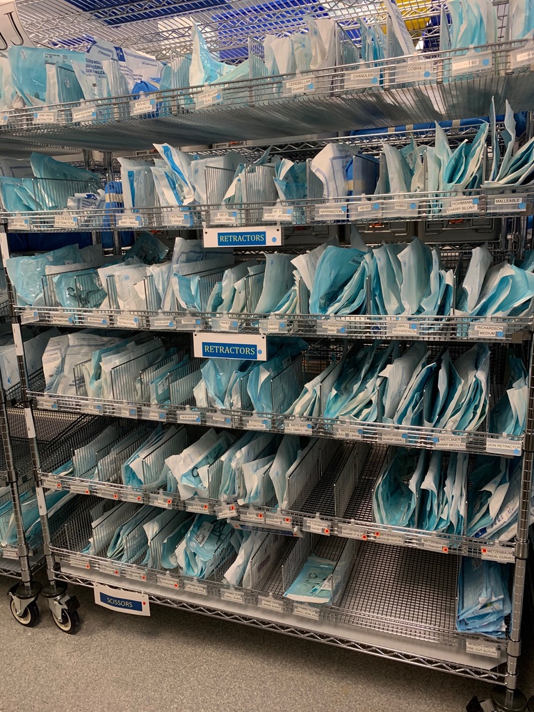 Professional Auditing